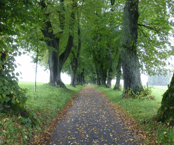 Hardtrundweg – Marktoberdorf
