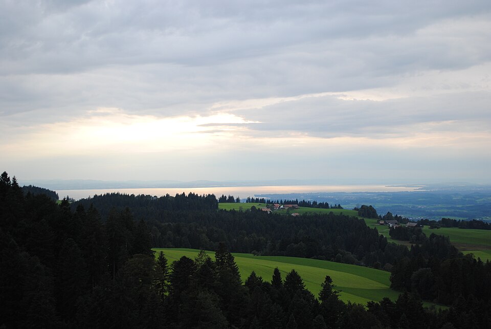Waldwelt Skywalk Allgäu – Scheidegg