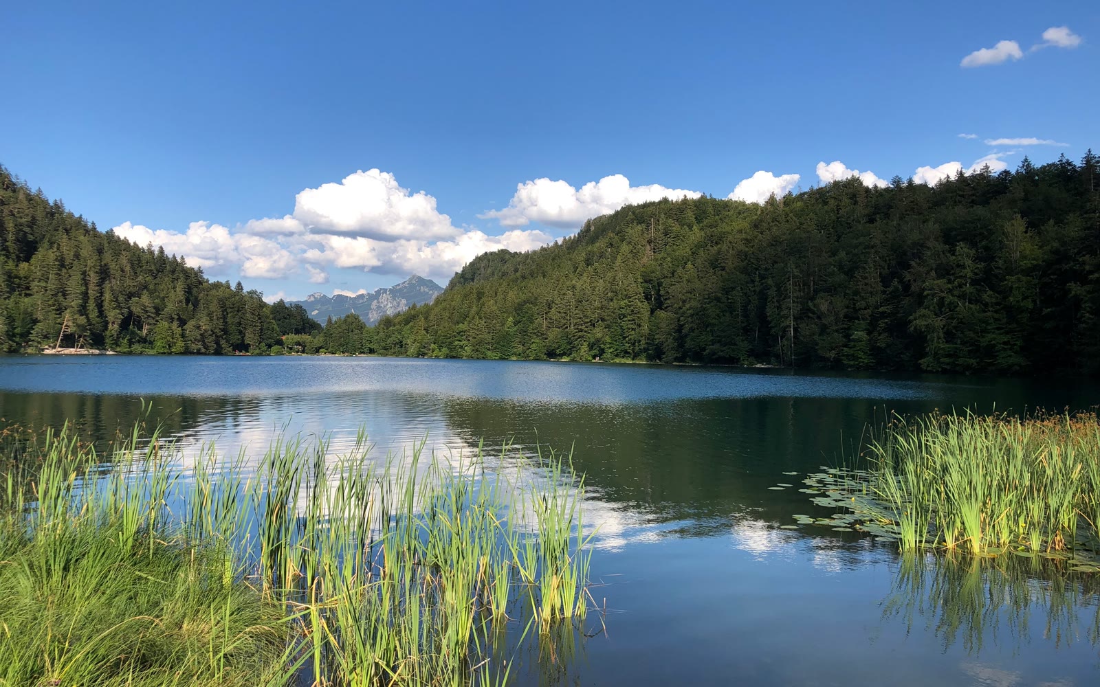 Kleine Allgäuer Seentour – Schwangau