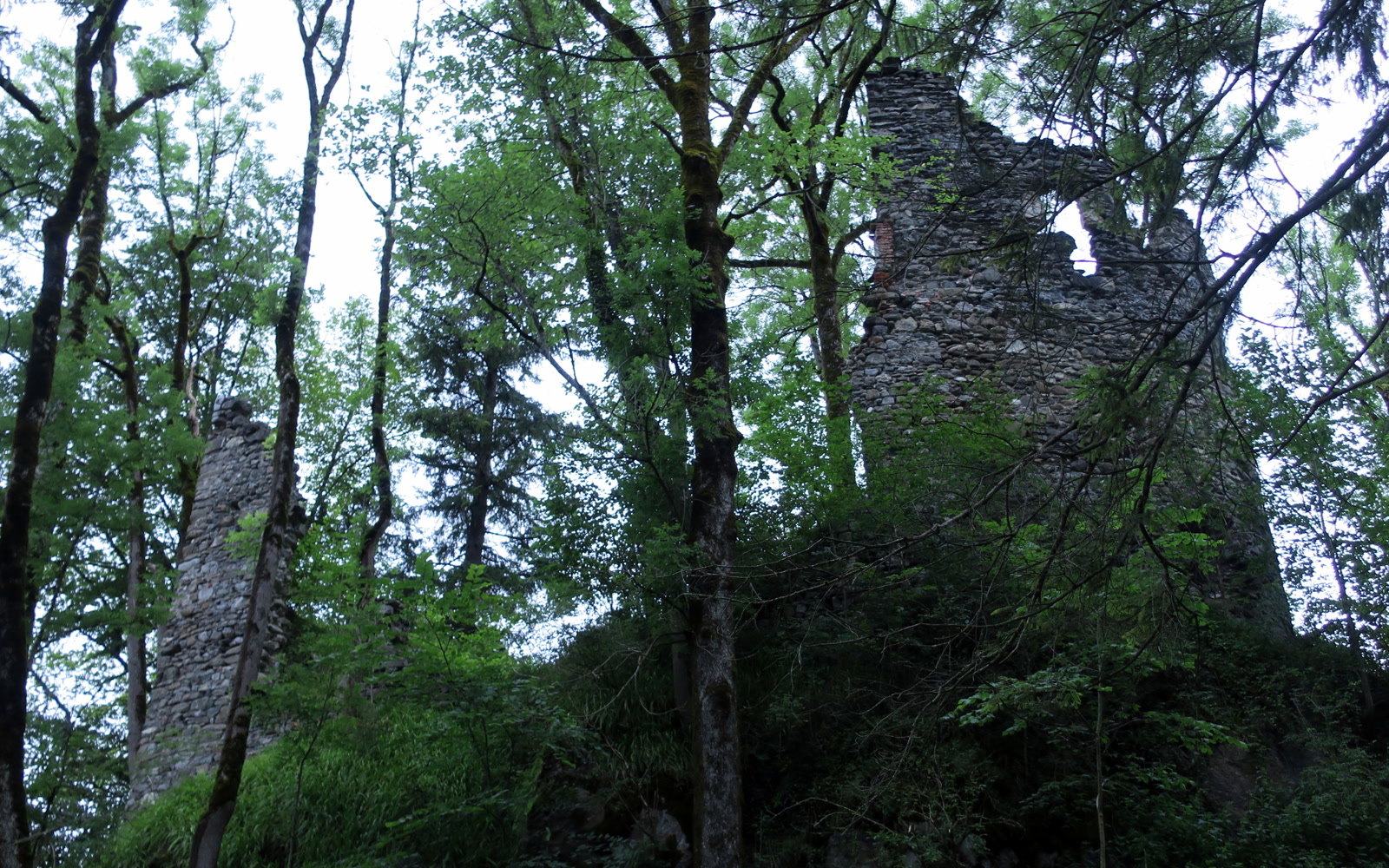 Burgruine Fluhenstein – Sonthofen