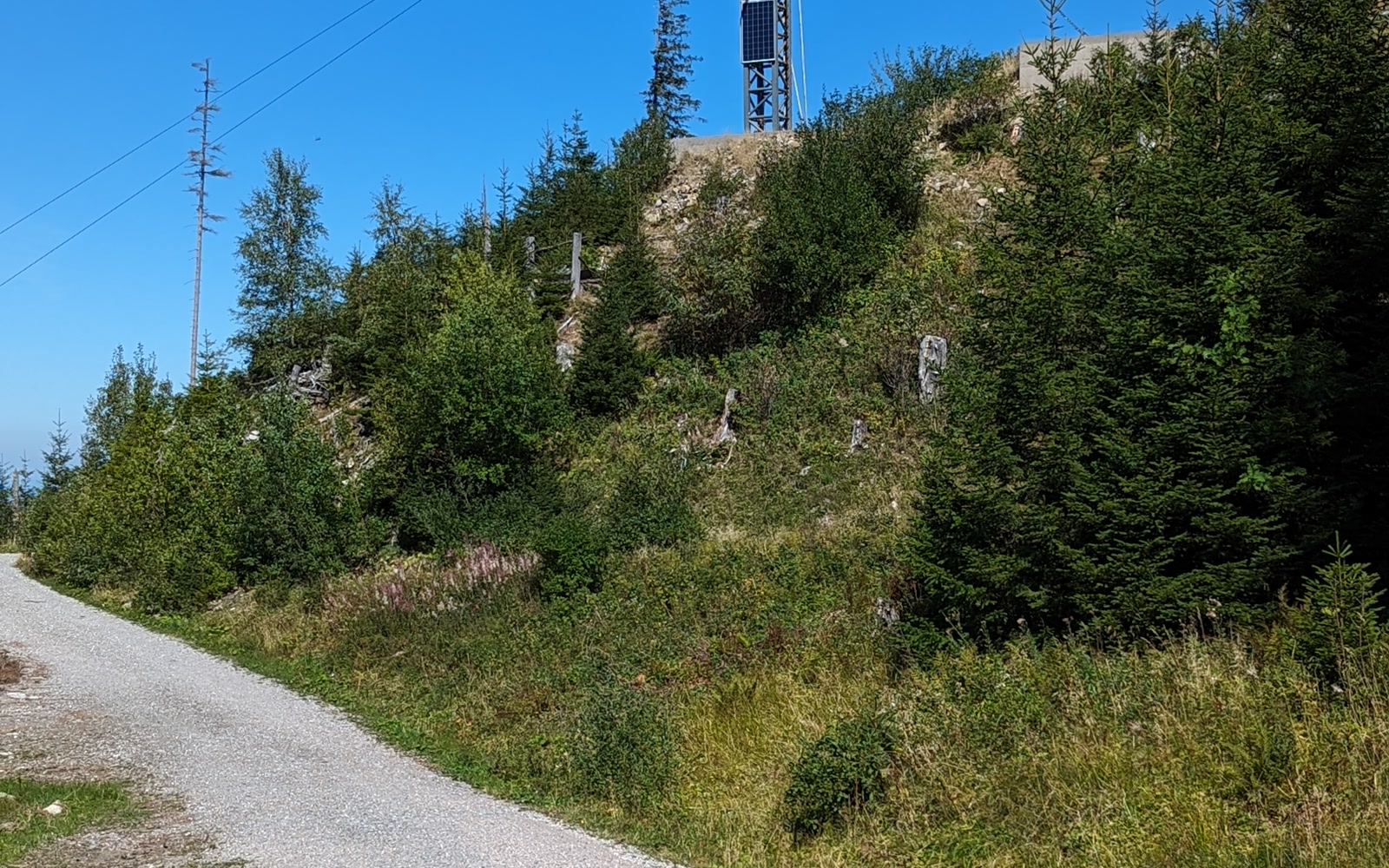 AlpspitzKICK – Nesselwang
