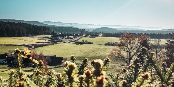 Wäldle-Runde bei Leutkirch – Leutkirch im Allgäu