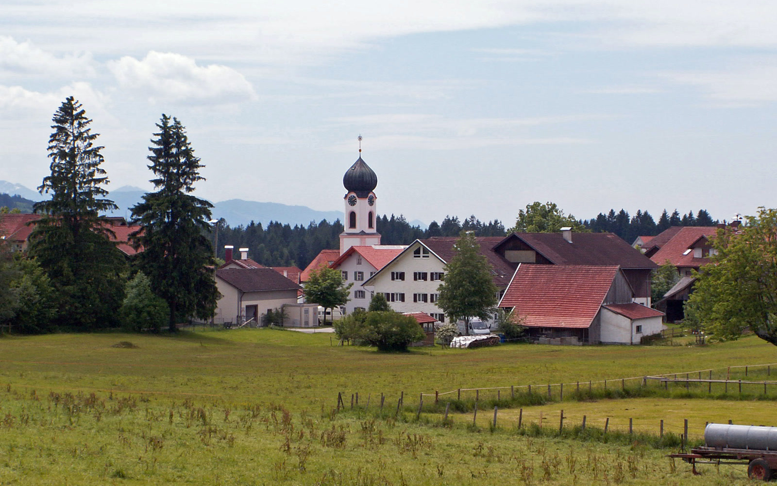 MOOSAIKREICH KEMPTER WALD – Moorwanderrunde Bodelsberg – Durach-Bodelsberg